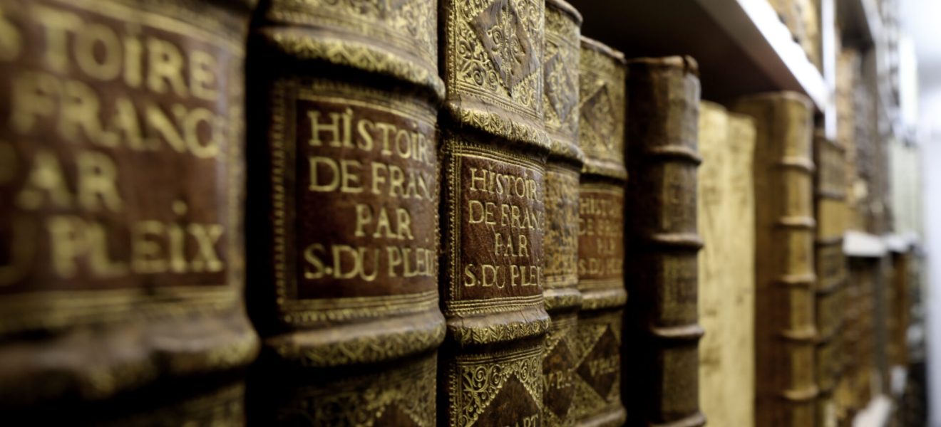 Historische Bibliothek - Buchrücken