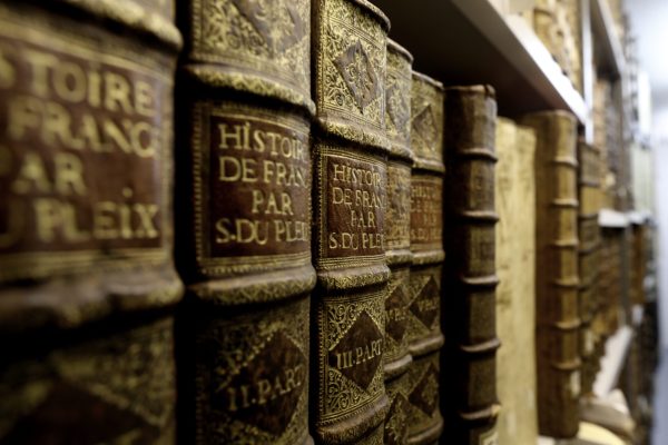 Historische Bibliothek - Buchrücken