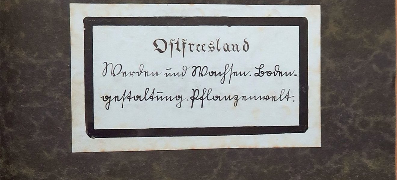 Hermann Eggen: Ostfreesland ; Band 2: Werden und Wachsen, Bodengestaltung, Pflanzenwelt - Umschlag