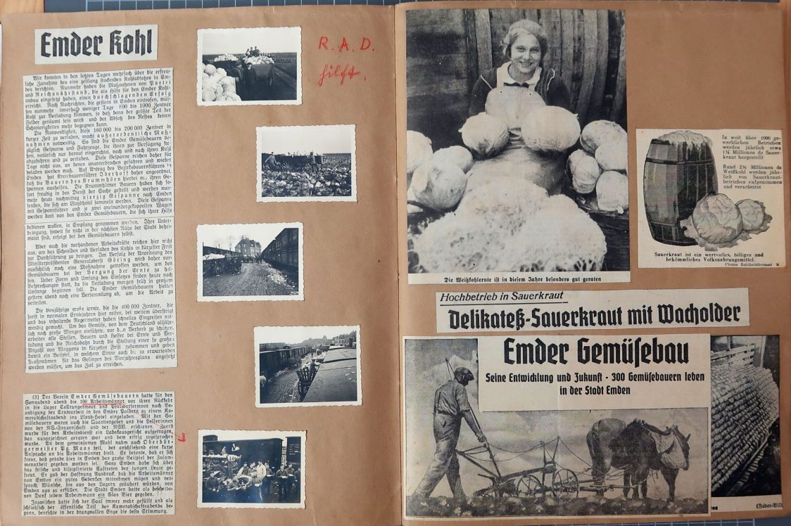 Hermann Eggen: Ostfreesland ; Band 8: Bilder und Texte zum Gemüsebau
