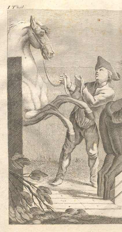 Johann Baptist von Sind: Vollständiger Unterricht in den Wissenschaften eines Stallmeisters - Tafel 3: Der Hengst wird der Stute zugeführt