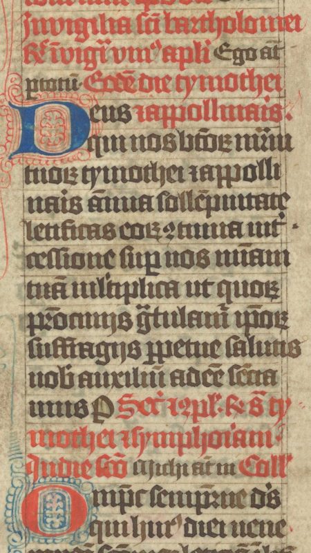 Dictionarium historicum, ac poeticum - Einband aus spät-mittelalterlicher Pergamentmakulatur (Ausschnitt)