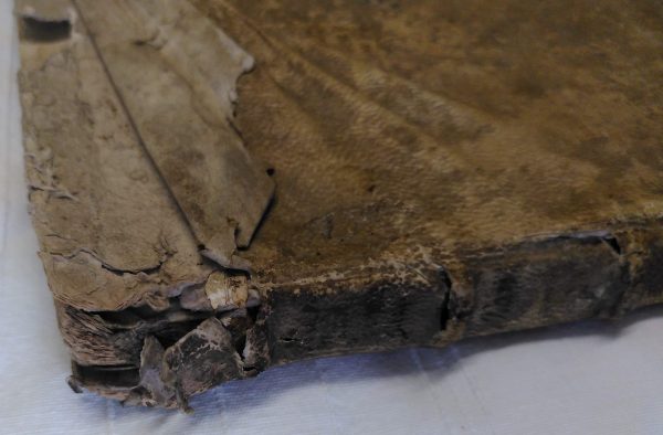 Beschädigtes Buch F 509 - Rücken (Detail)