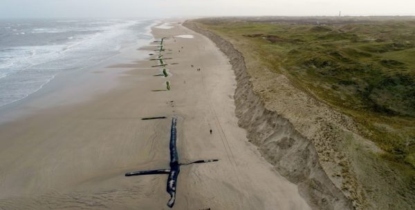 Die Abbruchkante der Schutzdüne vor der Kugelbake auf Norderney nach den Sturmfluten eines typischen Winters