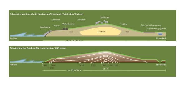 Schematische Darstellung von Deichen und ihrer historischen Entwicklung