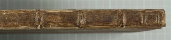 Restauriertes Buch F 509 - Rücken