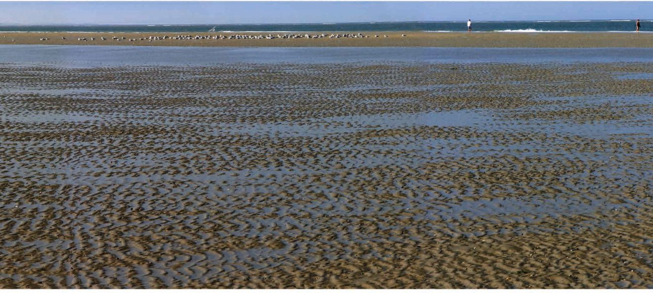 Michael Schildmann: Im Watt