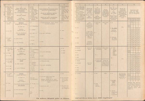 Tagebuch der Hebamme Hilka Hassler in Hollen 1948-1949 - Doppelseite mit Beispieleintragungen